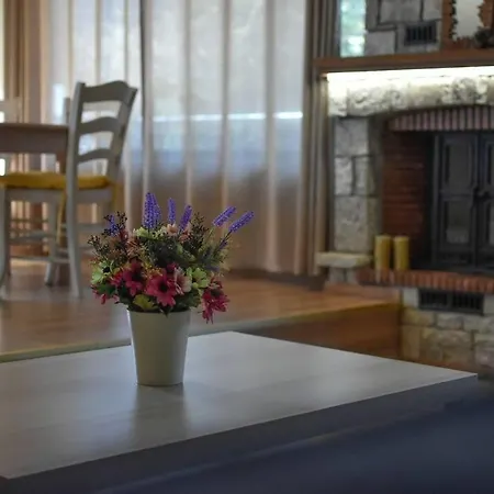 Plastira Σπίτι διακοπών *